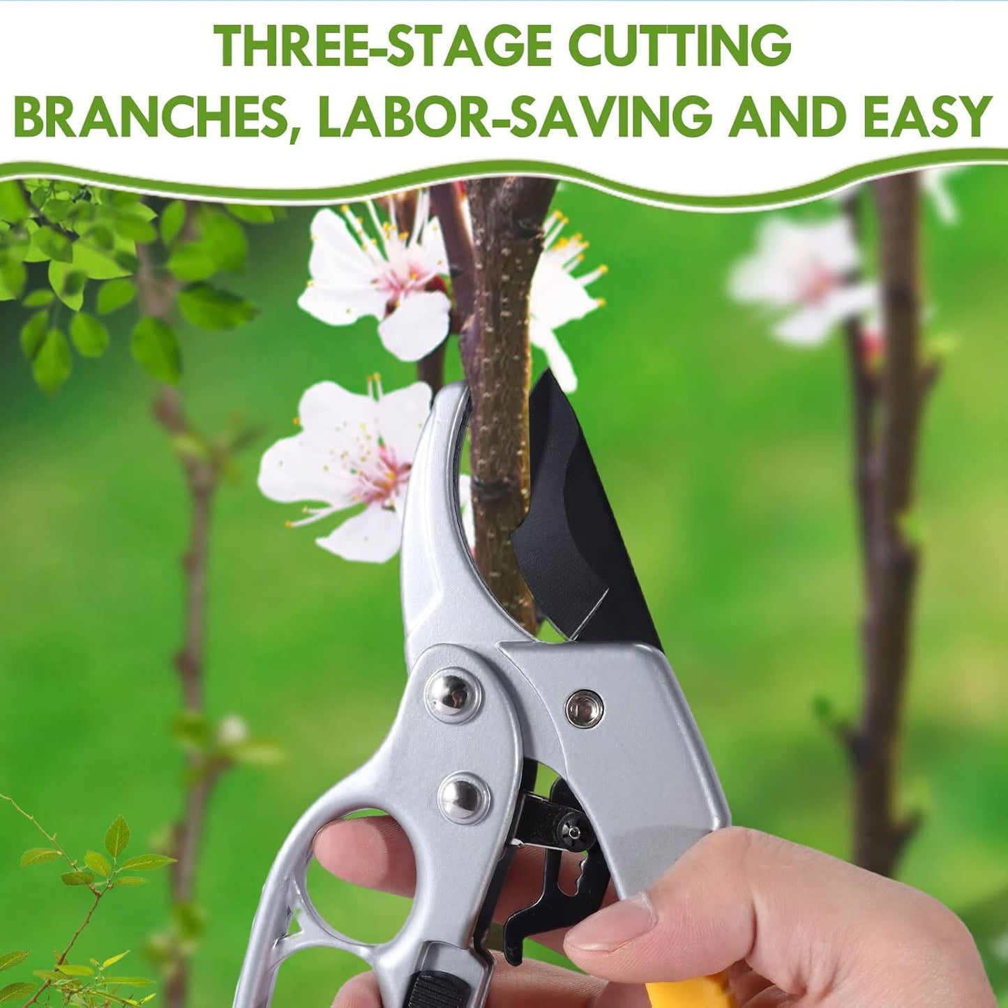 ✂️ Ultimate Garden Shears – Rustproof, Razor Sharp, Ready for Anything