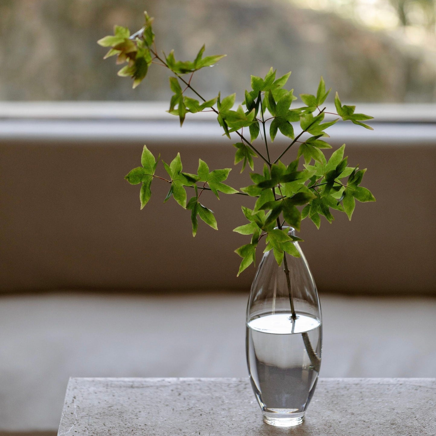 Minimalist Glass Cold Brew Bottle โ Elegance Meets Everyday Ritual ๐