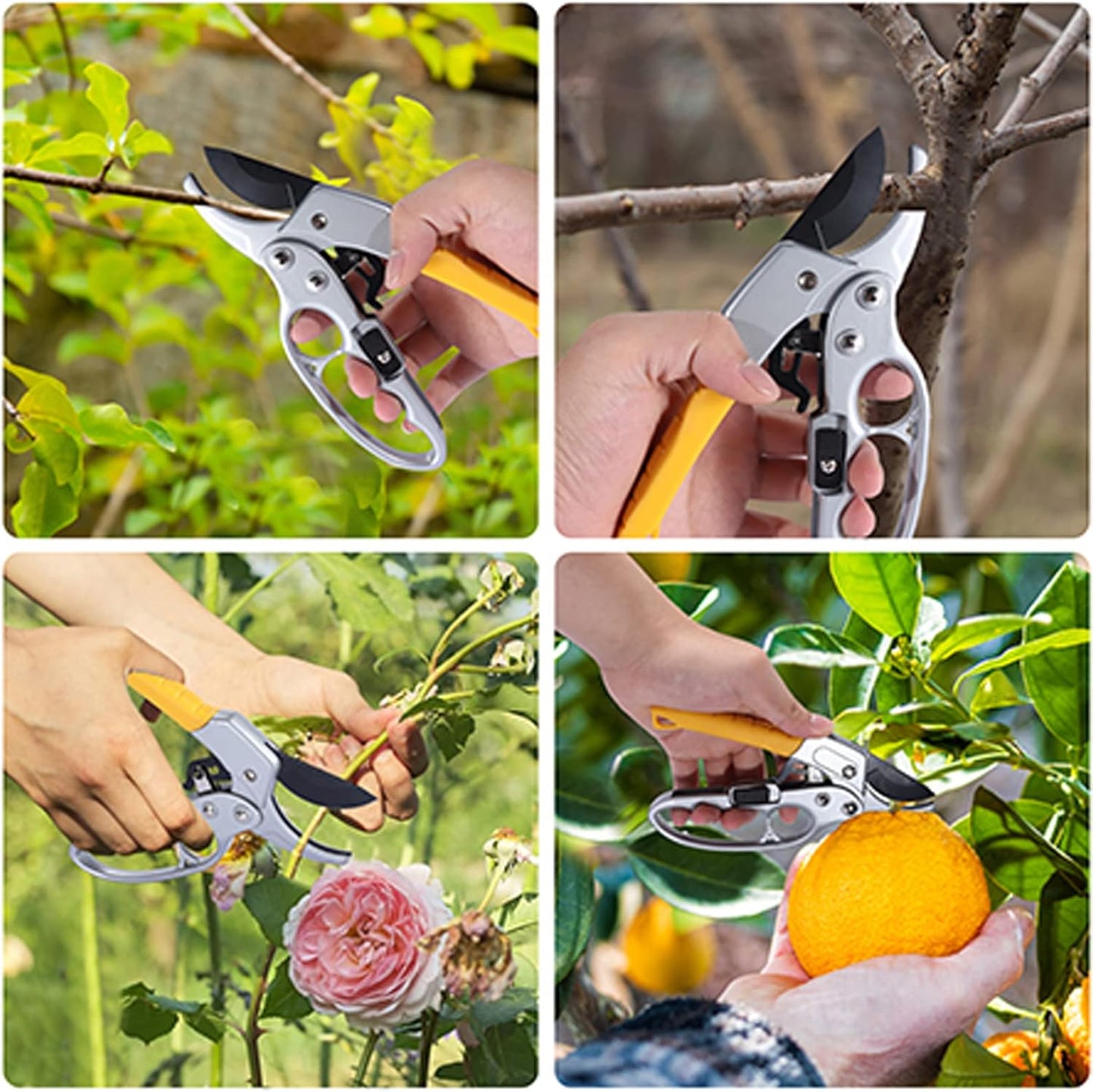 ✂️ Ultimate Garden Shears – Rustproof, Razor Sharp, Ready for Anything